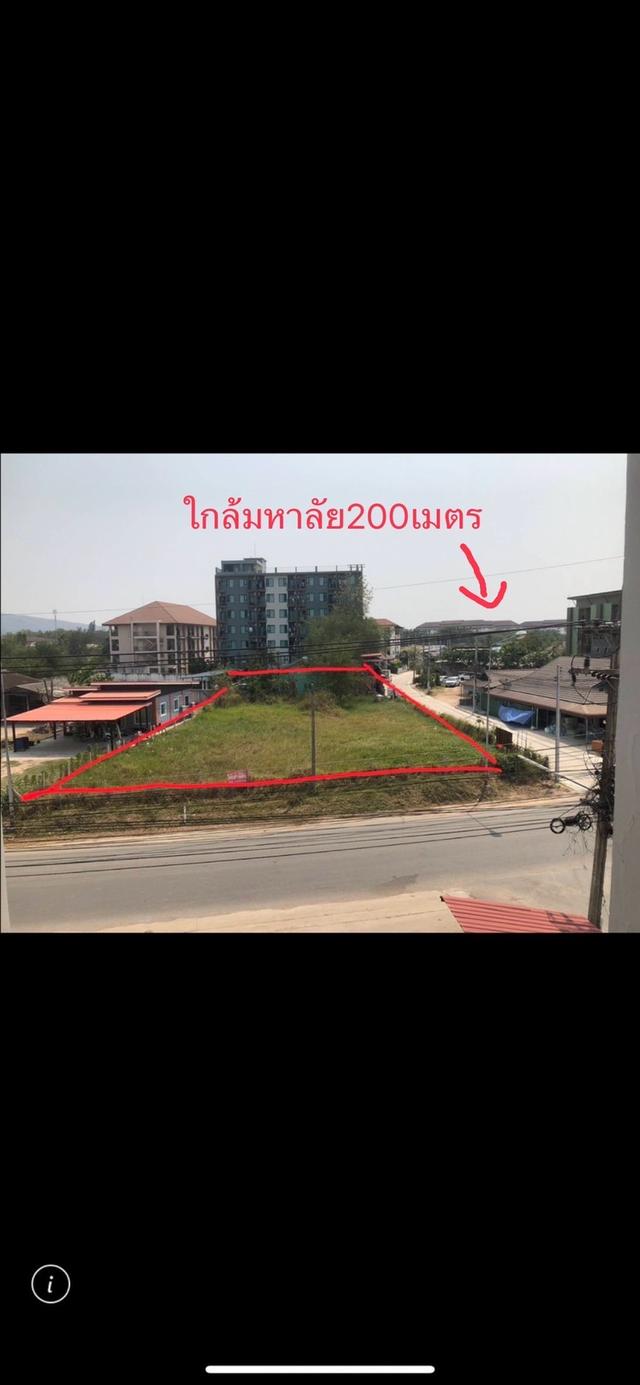 ขายที่ดินใกล้มหาลัยศิลปากรชะอำขายที่ดินใกล้มหาลัยศิลปากรชะอำ 200 เมตร 1