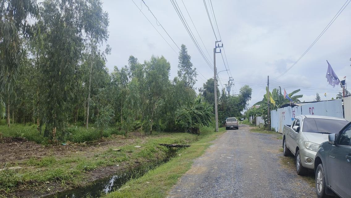 ขายด่วน ที่ดินติดถนนใหญ่ ราคาถูก 4