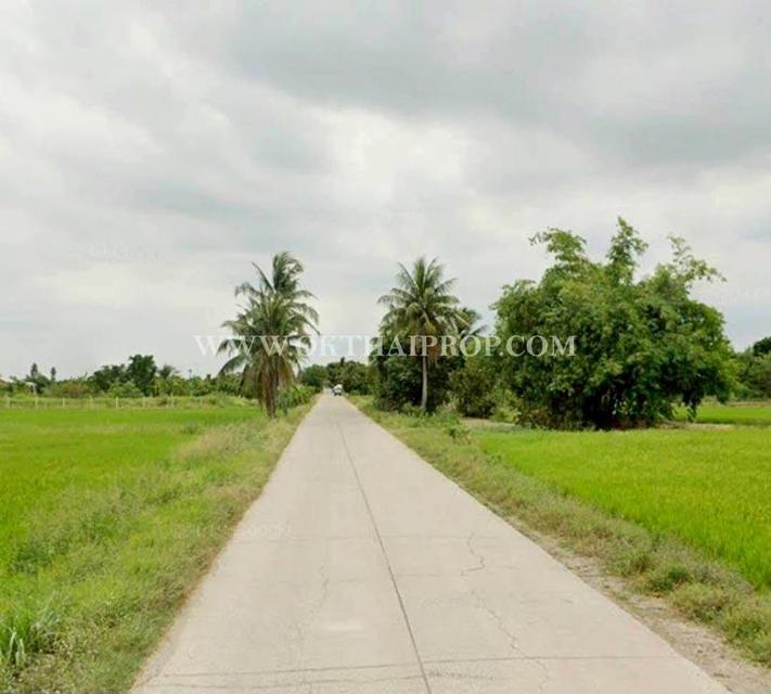 ที่ดินถมแล้ว คลอง 23 ใกล้อบต.ศีรษะกระบือ ถ.รังสิต-นครนายก องครักษ์ นครนายก 9