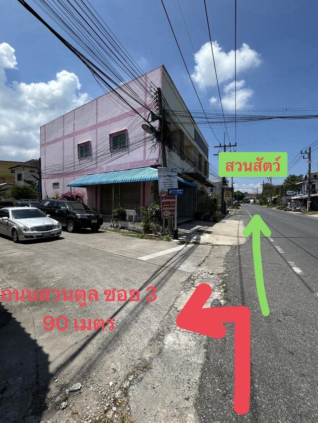 ที่ดิน 100 ตร.วา เขารูปช้าง สงขลา 2