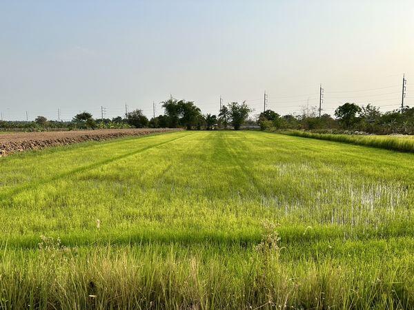 ที่ดินสวยใกล้ถนนเลี่ยงเมือง เยื้องหมู่บ้านเปี่ยมสุข