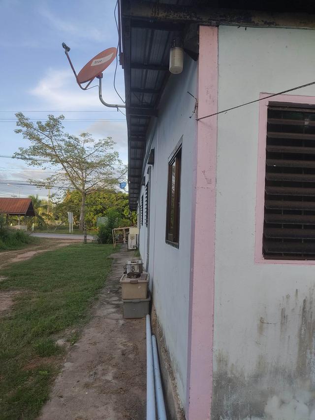 ขายบ้านพร้อมกิจการ ขนส่ง ถ่ายเอกสาร ฯลฯ และโรงสี บ้าน 3ห้องนอน 2 ห้องน้ำ ออฟฟิต ห้องโถง ครัว เป็นที่ดิน สองแปลง บ้าน 250ตารางวา โรงสี 275 ตารางวา ขาวร 10