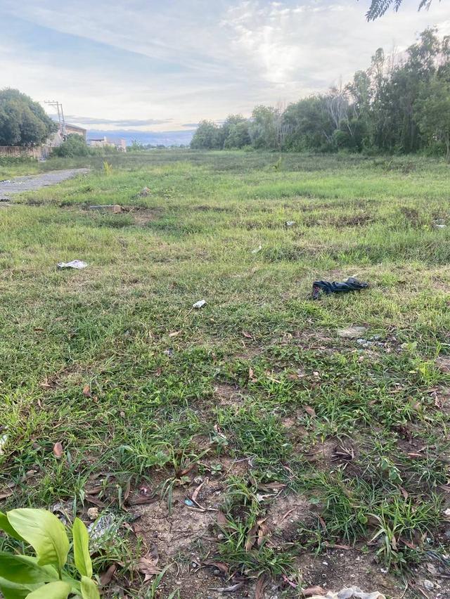 ให้เช่าที่ดิน 11 ไร่ 3งาน 79ตรว. *ติดถนนใหญ่340* อ.บางบัวทอง นนทบุรี 2