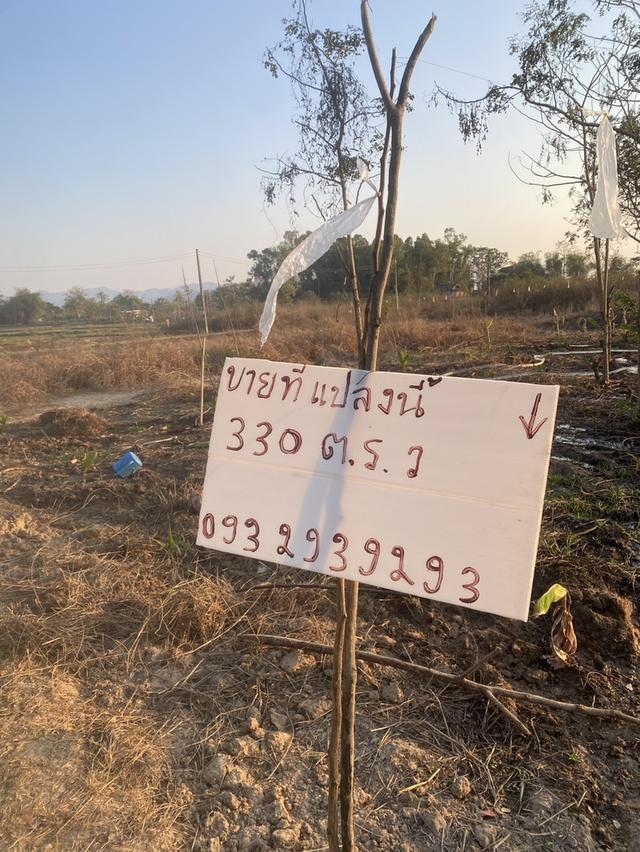 ขายที่ดิน 330 ตารางวา บ้านหม้อ ต.ห้วยทราย อ.สันกําแพง รูปที่ 10