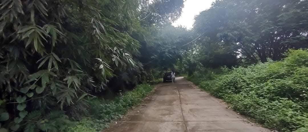 ที่โฉนด ขนาด110มีตรว ราคา280,000ห่าง7-11เพียง1โล  ไฟฟ้าถึงหน้ากว้างติดถนนคอนกรีต17เมตร ด้านในมีต้นไผ่ ขนุน,น้อยหน่า,มะม่วง,กล้วย ต้นสัก,ตะไคร้ 2