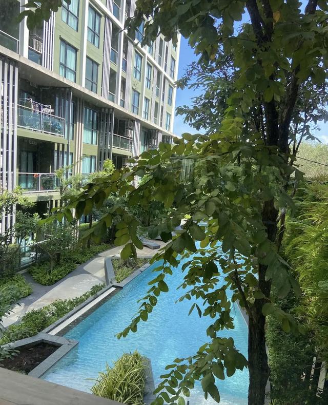 Space condominium วิชิต ภูเก็ต 3