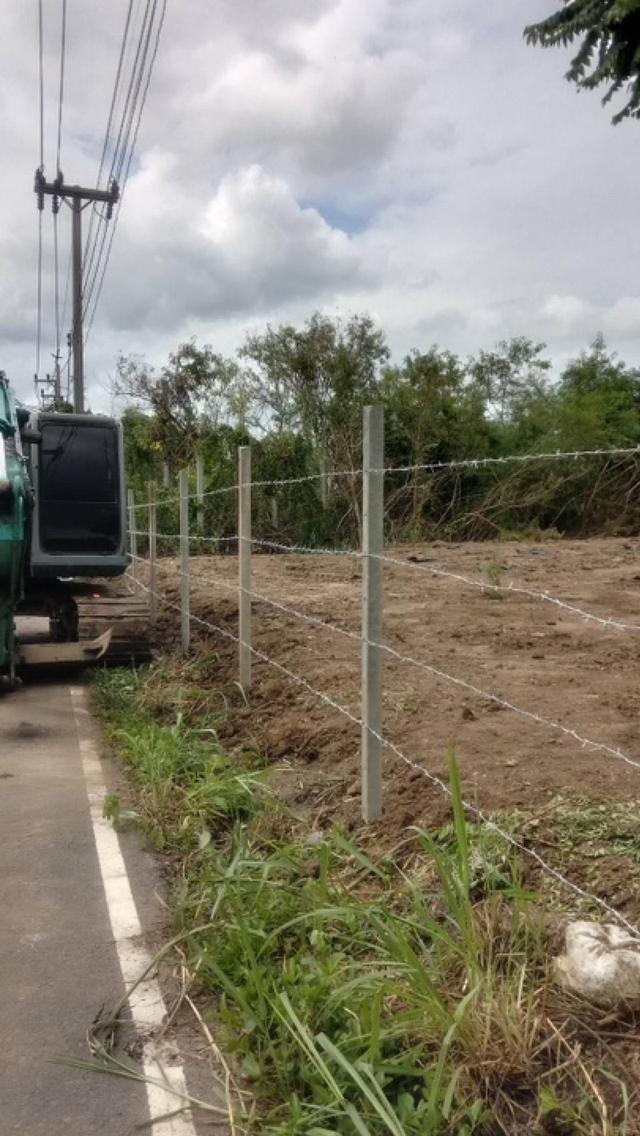 ขายที่ดิน 1 ไร่ 3 งาน ถมแล้ว ที่สวย บรรยากาศดี ร่มรื่น เงียบสงบ  ปลอดภัย ใกล้แหล่งท่องเที่ยว 9