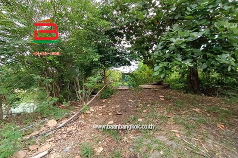 ที่ดินเปล่า ศาลาแดง 11 เนื้อที่ 1-1-26 ไร่ ซ.สุวินทวงศ์ 59 ต.ศาลาแดง อ.บางน้ำเปรี้ยว จ.ฉะเชิงเทรา 5