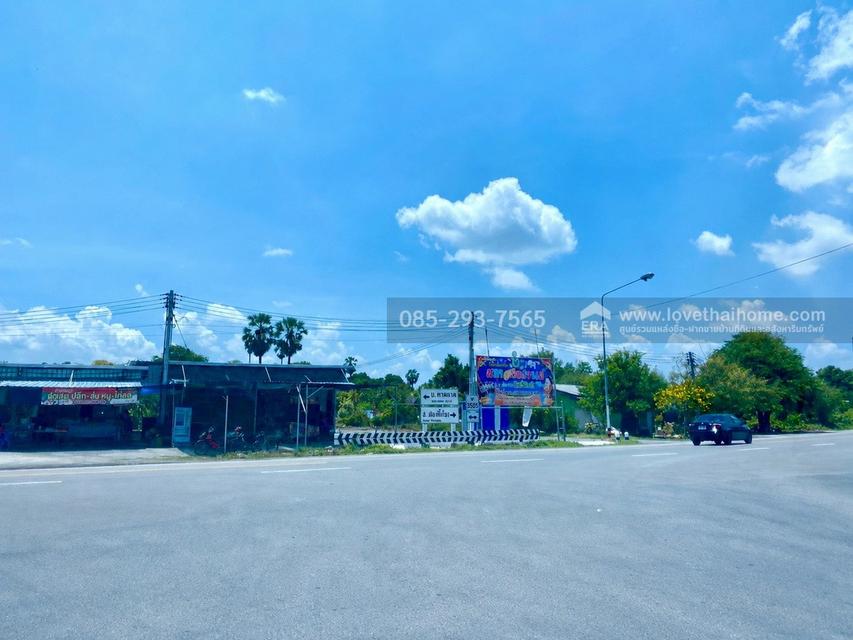 ขายที่ดินเปล่า ต.ศรีสำราญ อ.สองพี่น้อง จ.สุพรรณบุรี พื้นที่ 5 ไร่ ถมแล้ว ห่างจากถนนใหญ่เพียง 200 เมตร ใกล้อบต.ศรีสำราญ 18