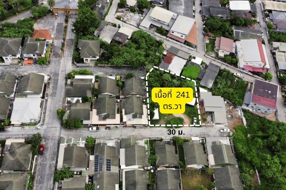 ขายที่ดินศรีราชา 241 ตร.วา  ถนนเก้ากิโล ใกล้โรงเรียนอัสสัมชัญ ชลบุรี 1