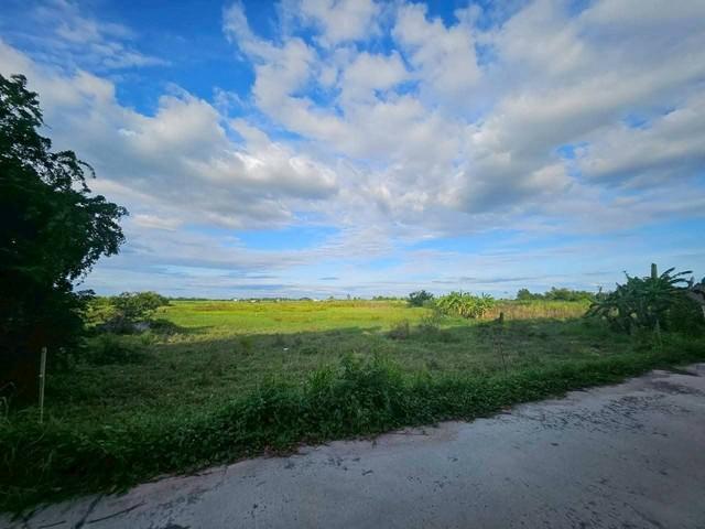 ขายที่ดินสวยพนัสชลบุรี ขายที่ดิน 47 ไร่ 40 ตารางวา ผังสีเหลือง เป็นถนนสี่เลนอยู่ในแหล่งความเจริญ ใกล้เขตอุตสาหกรรม 2