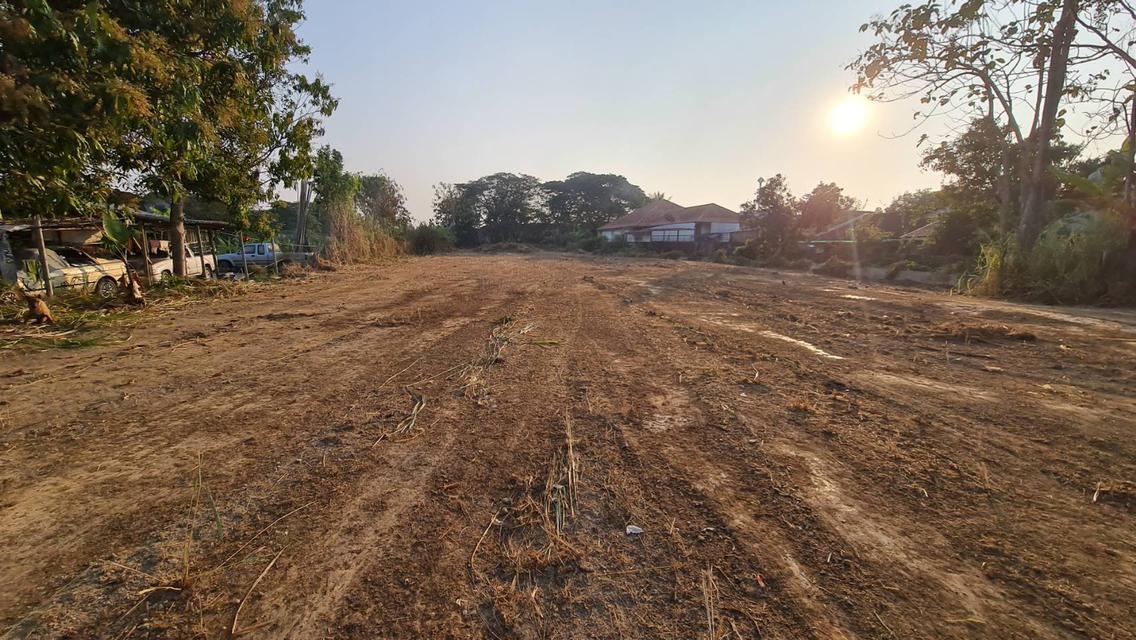 รูป ให้เช่าที่ดิน โทร.0816817679 1