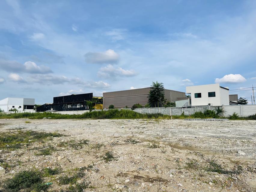 โครงการมังกรทอง แฟคทอรี่ เปิดใหม่ติดถนนใหญ่340 1