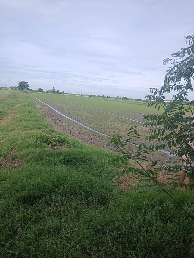 ขายที่ดินติดถนนบ้านกล้วยไทรน้อย 1