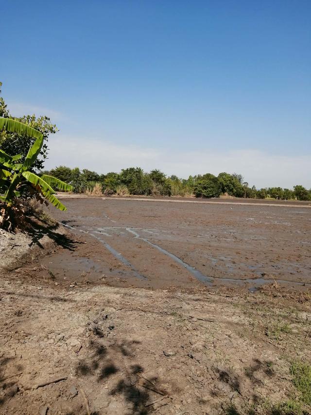 ที่ดิน 1 ไร่ 60 ตารางวา อยุธยา 3