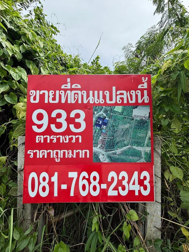 📌📌 ขายที่ดินแปลงสวย ทำเลดี เมืองชลบุรี 2