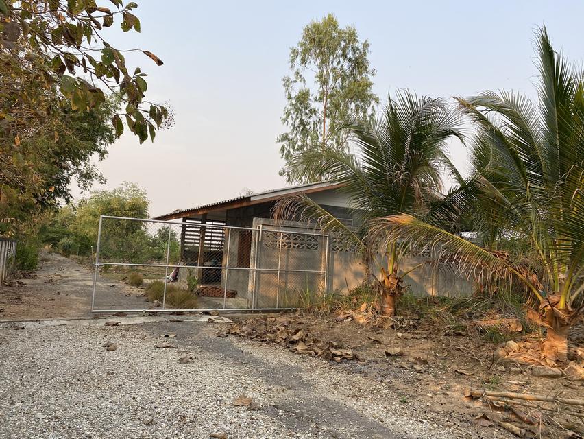 บ้านพร้อมที่ดินถมแล้ว ติดถนนสายหลัก อ.เชียงแสน จ.เชียงราย 5