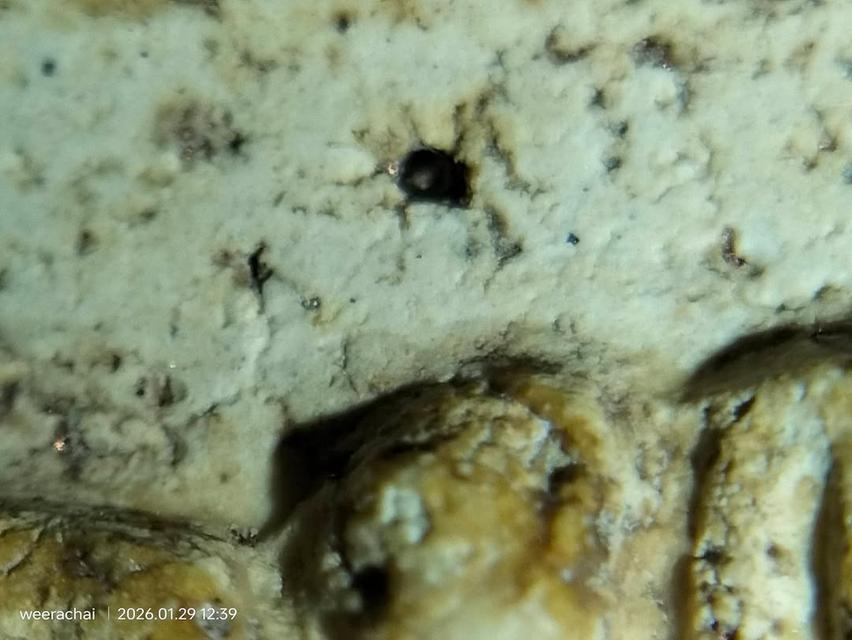 พระสมเด็จวัดระฆังพิมพ์เกศบัวตูม รูปที่ 5