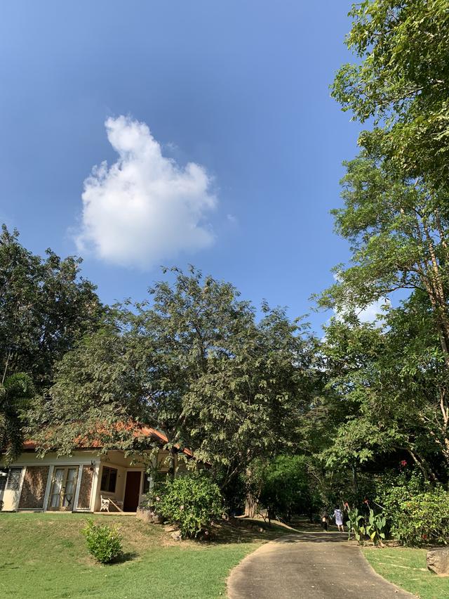 ที่ดิน พื้นที่ สองไร่ ในโครงการแก่งกระจาน คันทรี่คลับ ซื้อที่ดินแถมบ้านถนนปูนถึง น้ำน้ำไฟพร้อม 8
