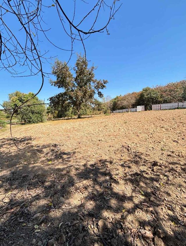 ขายที่ดินแปลงสวย ทำเลทอง อำเภอพนัสนิคม จังหวัดชลบุรี 5