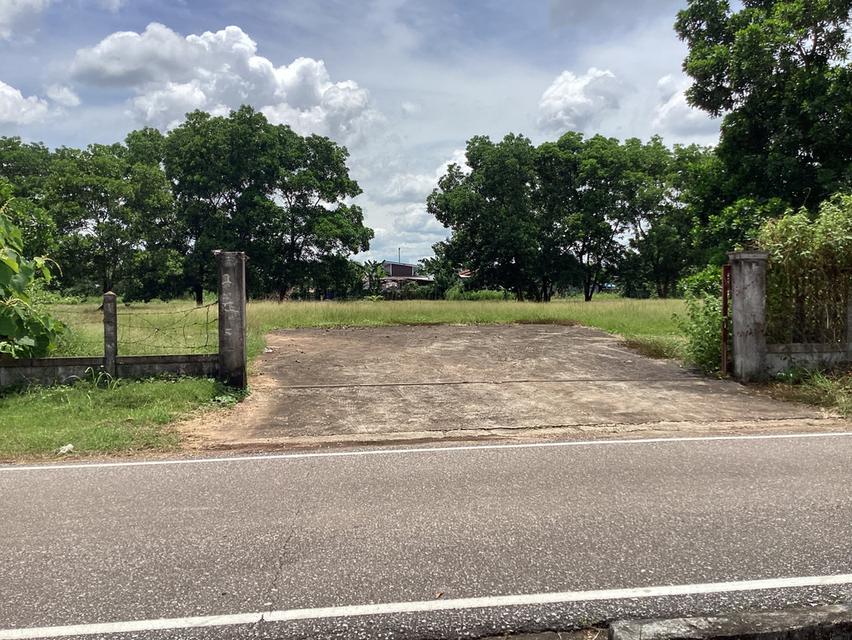 ให้เช่าที่ดืน13ไร่ใกล้สะพาน3ติดถนนเรียบโขงนครพนม 19