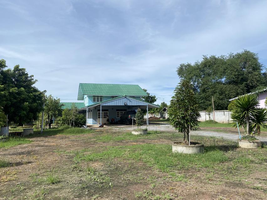 จรูญ ขายบ้านเดี่ยว 2 ชั้น 4 ห้องนอน 2 ห้องน้ำ บ้านอยู่หลังโรงเรียน 2กิโลเมตร ถึงเซเว่น.  0815554264 3