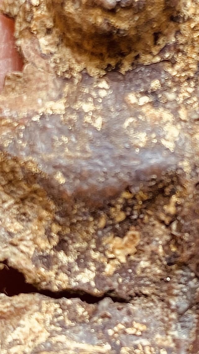 พระกรุเนื้อตะกั่วสนิมแดง รูปที่ 5