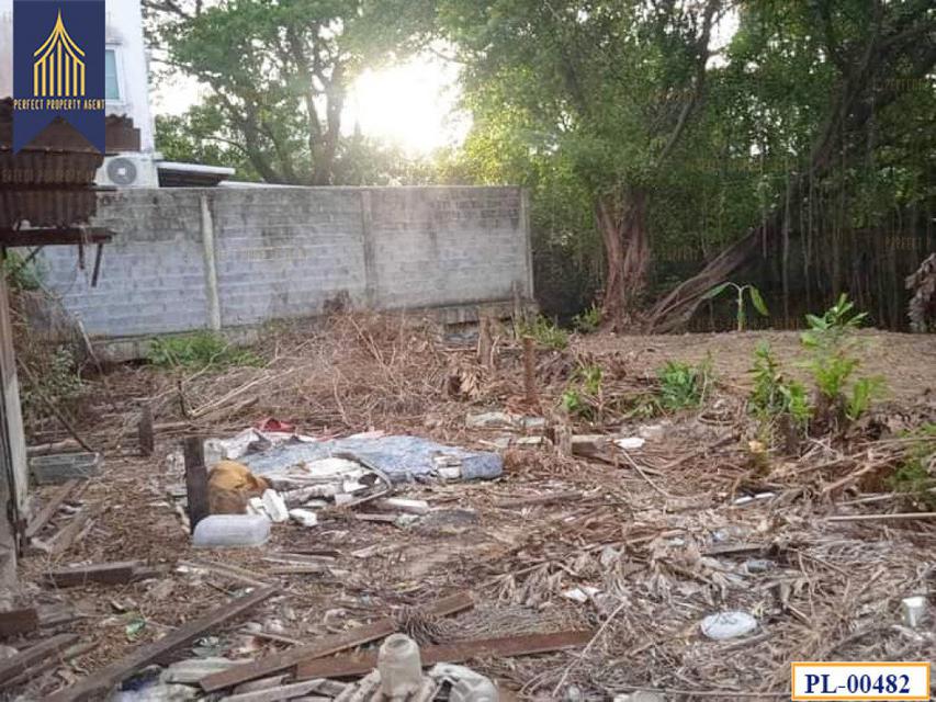 รูป ที่ดินถมแล้ว ซอยรามอินทรา 47 ขนาดเหมาะสมสร้างที่อยู่อาศัยเดินทางสะดวกสบาย 1 งาน 59 ตร.วา 4