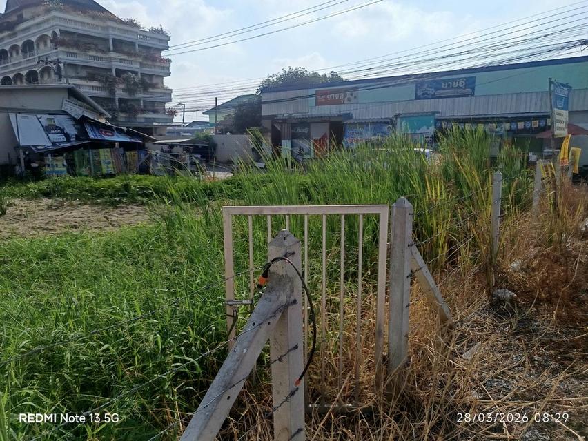 ที่ดินเปล่ามือสอง บางบัวทอง 1