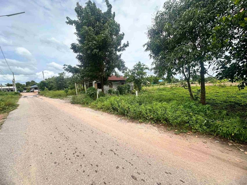 ขายที่ดินบ้านซ่อง 2 ไร่ ติดถนน2ด้าน ใกล้ถนนเส้น319-1.6กม. อ.พนมสารคาม ฉะเชิงเทรา