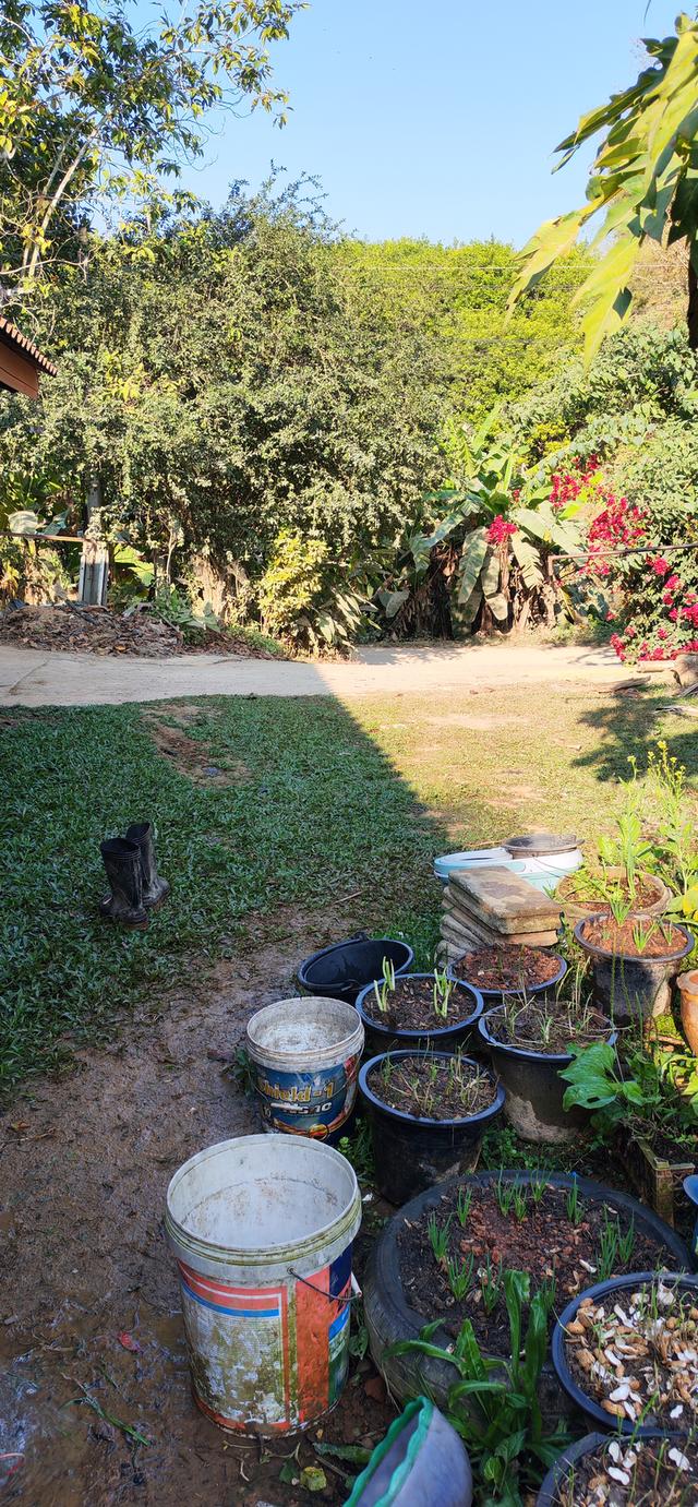 บ้านพร้อมที่ดินใกล้ตัวเมืองเชียงราย ใกล้วัดห้วยปลากั้ง 15