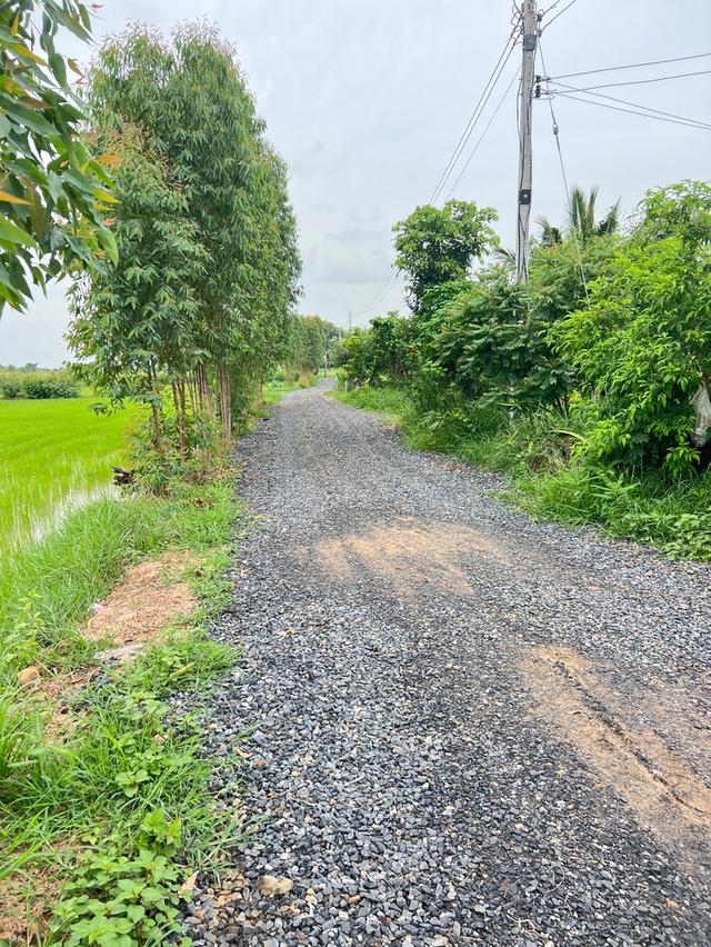ที่ดิน ที่นา ที่อยู่อาศัย ที่ดินเปล่า 9
