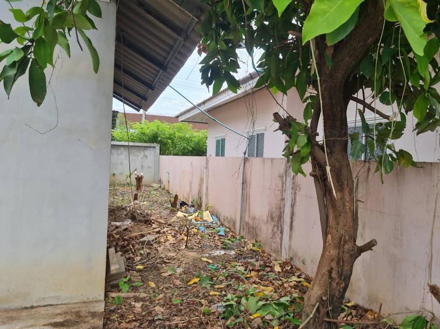 ขายด่วนที่ดินเปล่าลดราคาใกล้โรบินสันกาญจนบุรี 11