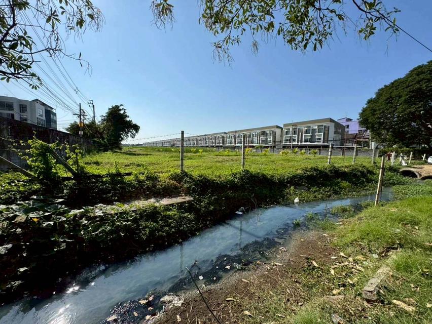 ขายด่วนที่ดิน ติดถนนรามคำแหง ผังสีเหลือง เพียง 75,000 บาท/ตร.ว. (N.1988) 1