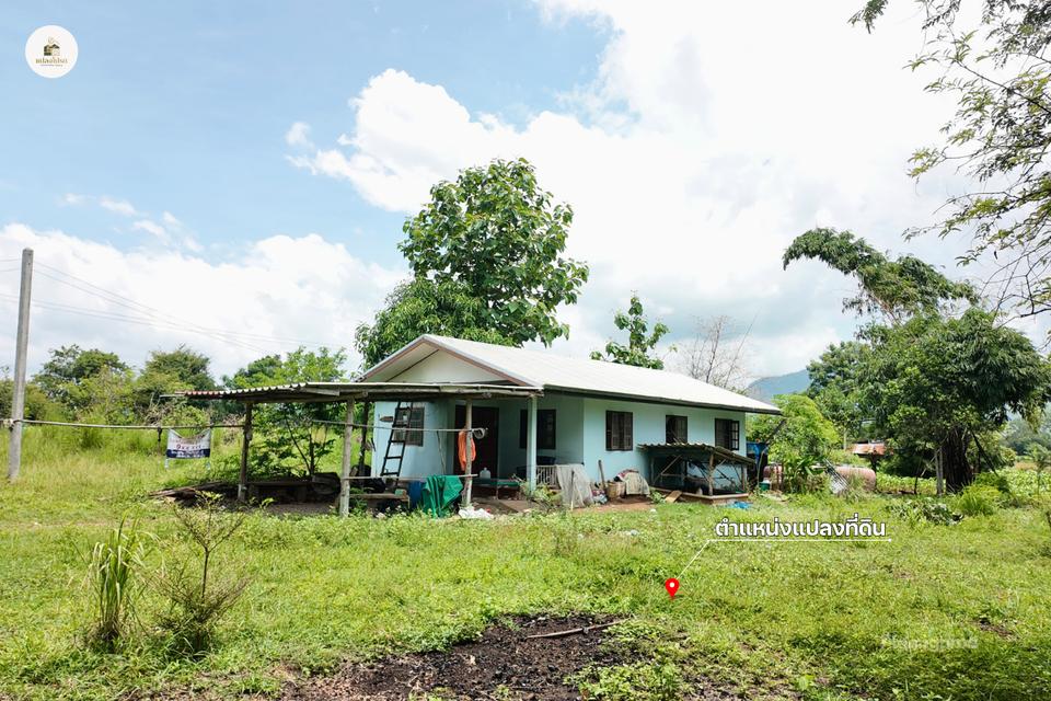 ขายบ้านพร้อมที่ดิน 2 ไร่ 2 งาน 19 ตร.ว. โฉนดครุฑแดง วิวภูเขา ต.วังชมภู เพชรบูรณ์ 4