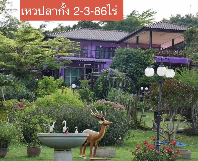 บ้านเหวปลากั้งพร้อมอยู่ ถนนผ่านผ่านศึก กุดคล้า 2-3-86ไร่ วิวเขาใหญ่ อากาศดีสุด เดินทางสะดวก 1