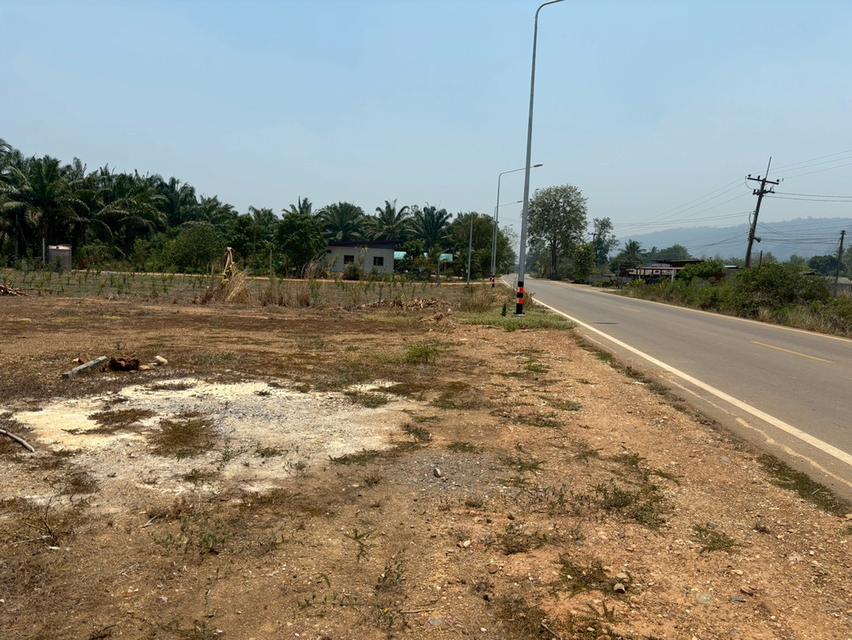 ขายที่ดินติดถนน ไทรโยค 4