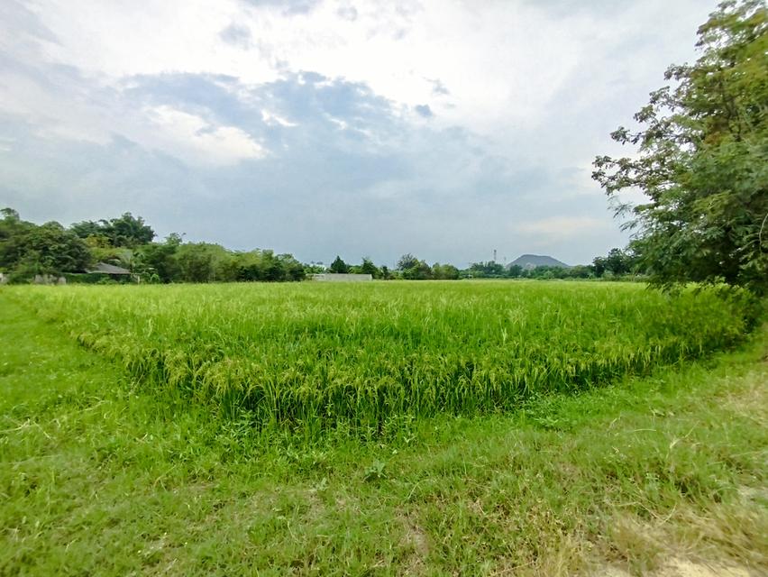 ที่ดิน 1 ไร่ 2 งาน อยู่ห่างจากถนนหน้าค่ายบุรฉัตร จ.ราชบุรีเพียง 500 ม. ขาย 2,700,000 1