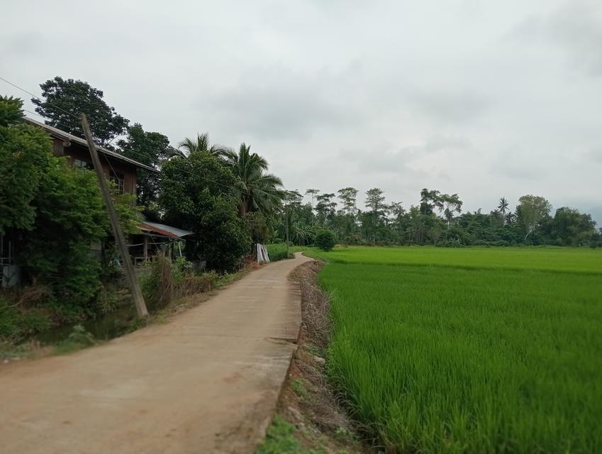 บ้านพร้อมที่ดิน 2 ไร่ 2 งาน 17 ตรว. 10
