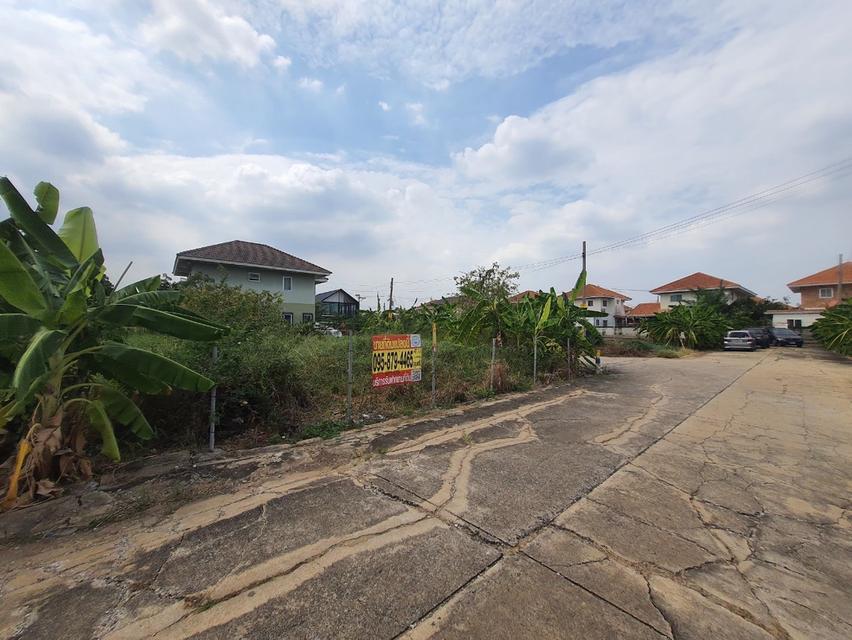 ที่ดิน 4