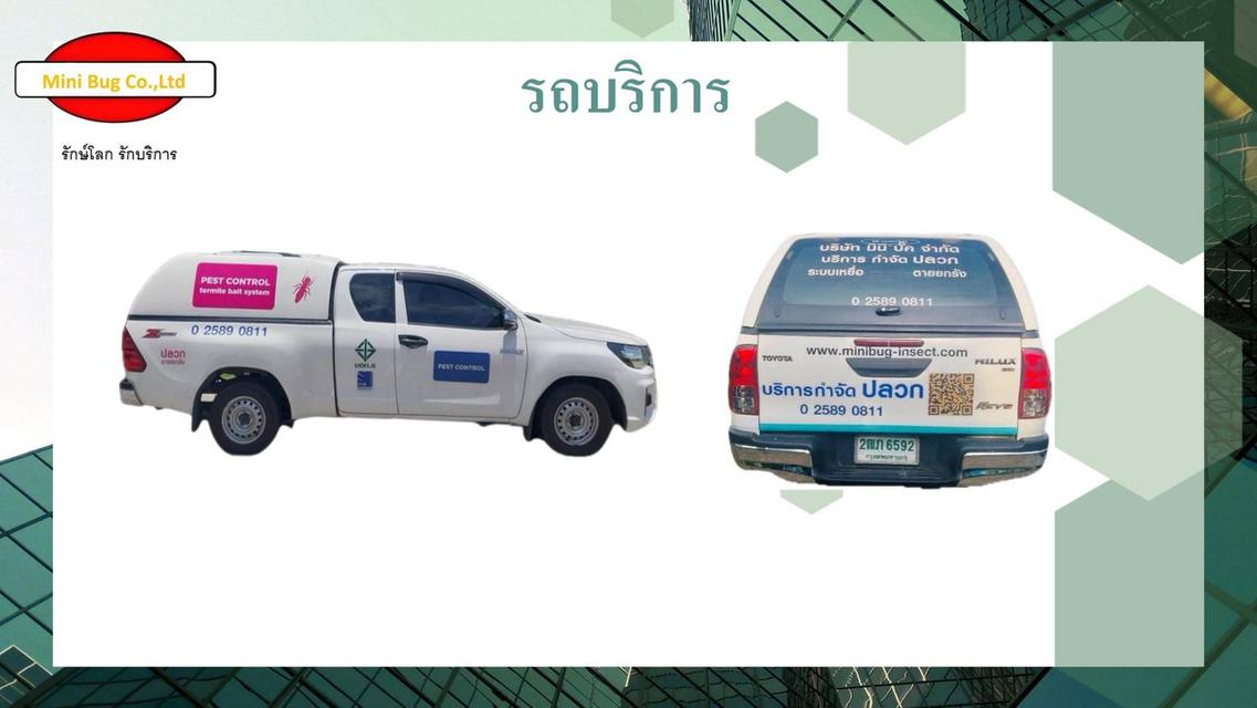 บริการป้องกันจำกัดปลวก มด หนู แมลงสาบอเมริกัน แมลงสาบเยอรมัน  ตัวเรือด ยุง แมลงวัน  Pest control รูปที่ 4