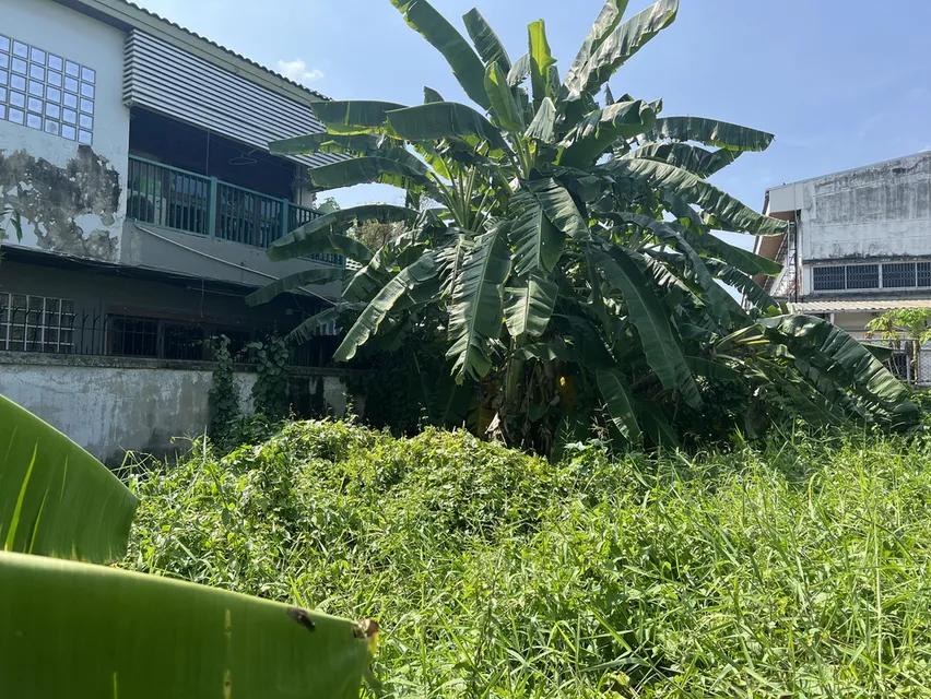 ขาย เช่า ที่ดินเปล่า หมู่บ้านเสรี ลาดพร้าว 101 2