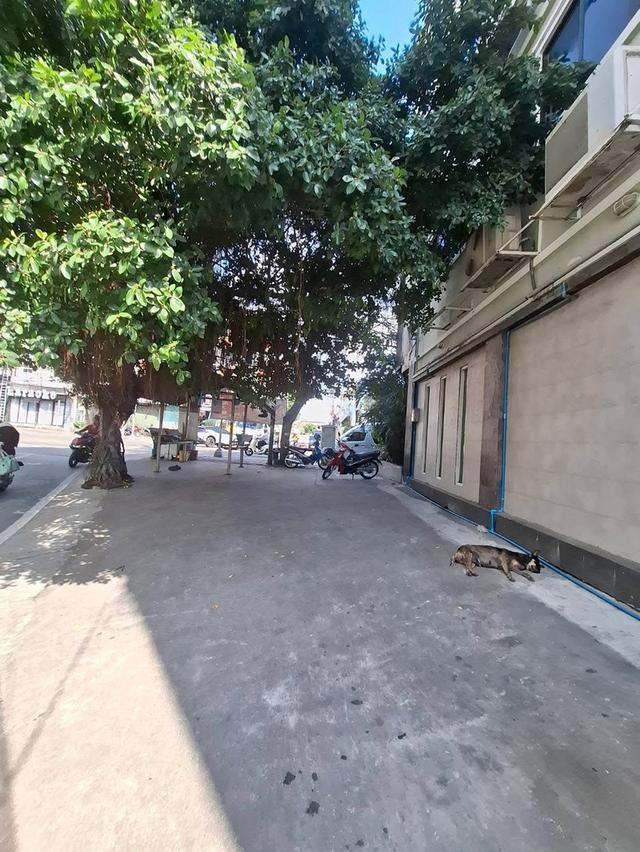 ให้เช่า อาคารพาณิชย์ทำเลดี เมืองพัทยา 5