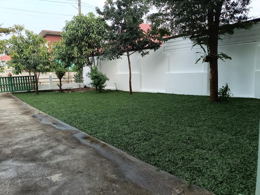 บ้าน2ชั้น 3นอน3น้ำ น้ำแพร่ หางดง เชียงใหม่ 12