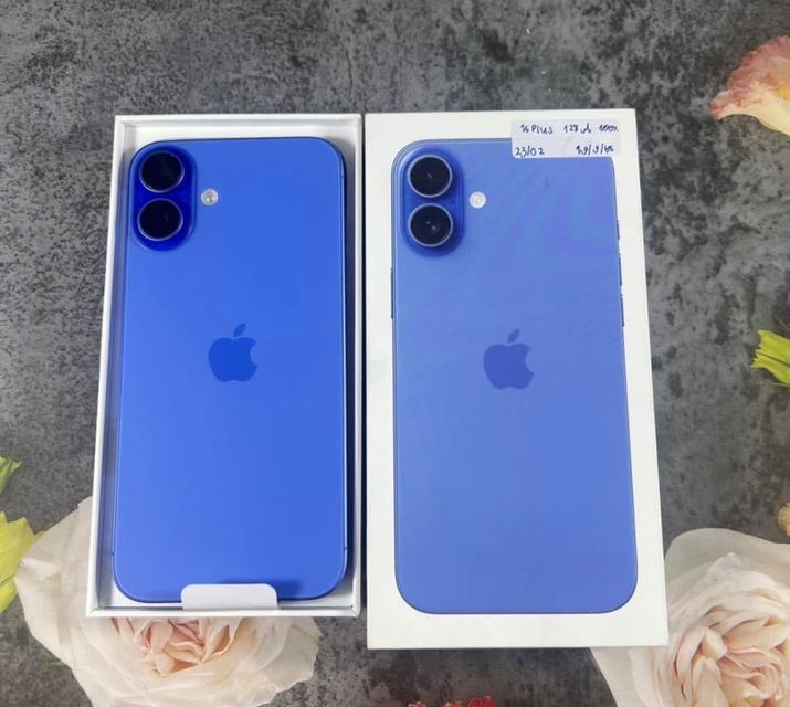 iPhone 16 plus สี Ultramarine 