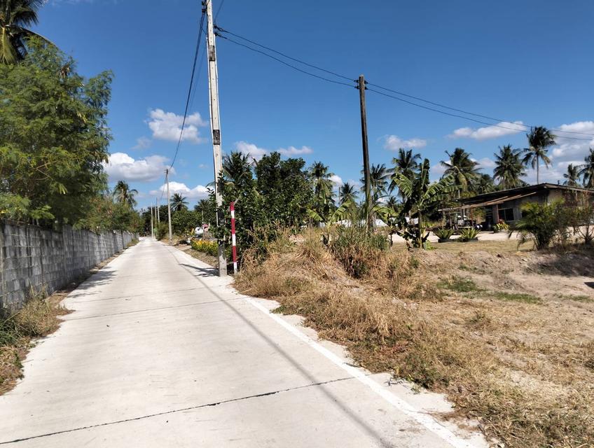 ขายที่ดิน 2 ไร่ บางพระ ใกล้มอเตอร์เวย์ ไม่ไกลจากเขาเขียว แบ่ง 1 ไร่ ได้ 1