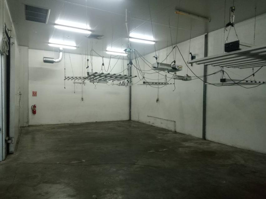 เช่าและขายโกดังห้องเย็น ติดถนนสายหลัก เชียงใหม่–หางดง ตำบลน้ำแพร่ อำเภอหางดง จังหวัดเชียงใหม่ 3