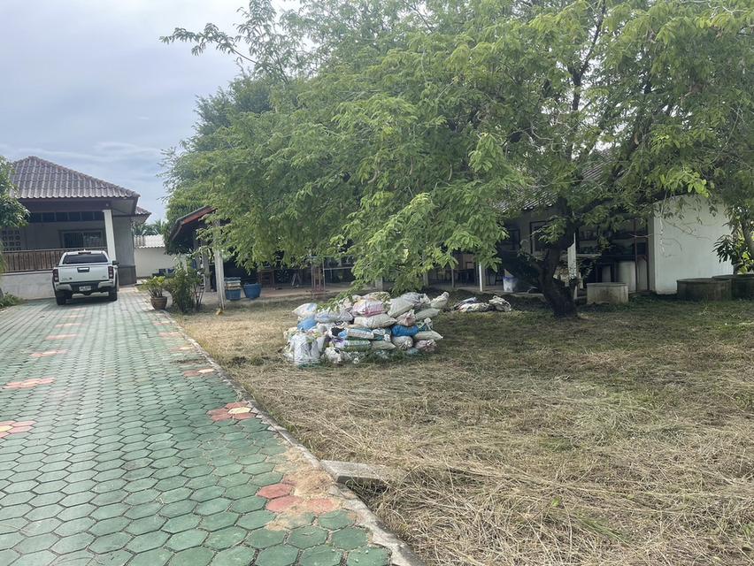 🏡ขายที่ดินพร้อมบ้านสวน พร้อมเข้าอยู่ 👩‍🌾👨‍🌾  📍ตำบล สง่าบ้าน อำเภอดอยสะเก็ด จังหวัดเชียงใหม่ 10