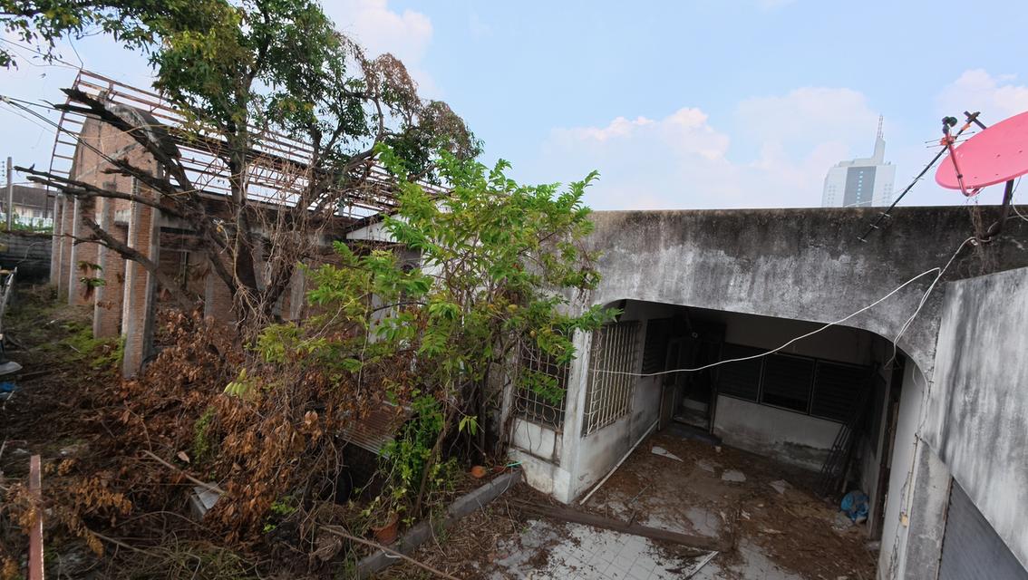 ที่ดินพร้อมสิ่งปลูกสร้าง ซอยสี่ไชยทอง 18 ถนนแจ้งวัฒนะ ต.บางตลาด อ.ปากเกร็ด จ.นนทบุรี 4