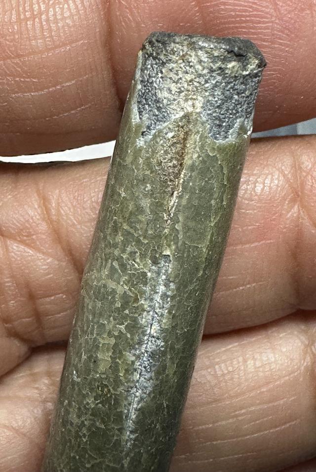 ตะกรุดสาลิกาหลวงปู่ศุขวัดปากคลองมะขามเฒ่า ผ่านการใช้เชือกหลุดหาย 11